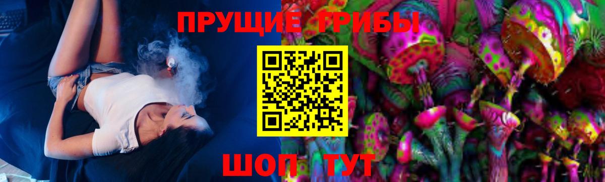 Рузаевка  Псилоцибиновые грибы Psilocybe  Вход с VPN  Псилоцибиновые грибы мицелий 